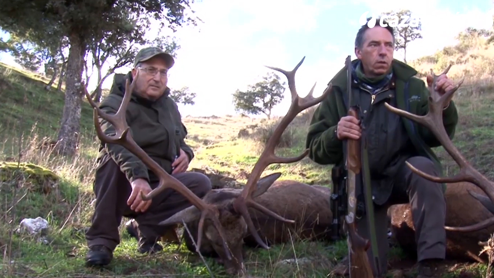 Montería de reses en El Rosalejo