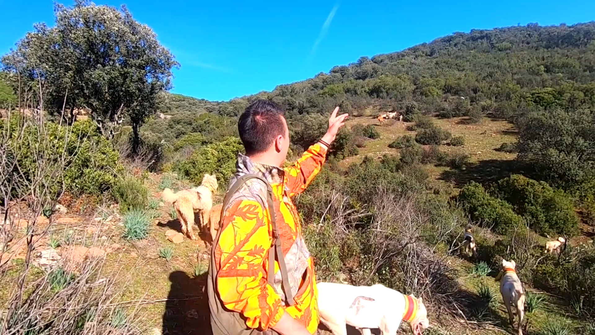 Lances a las reses y jabalíes del Morrón de las mujeres