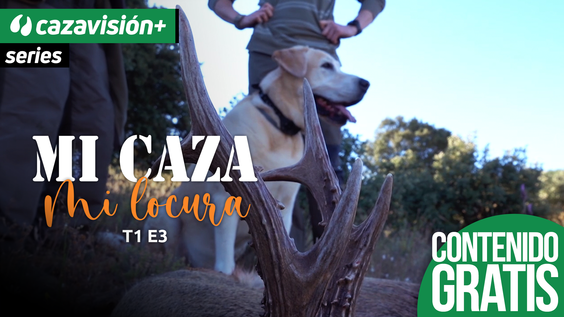 Corzos difíciles de Julio