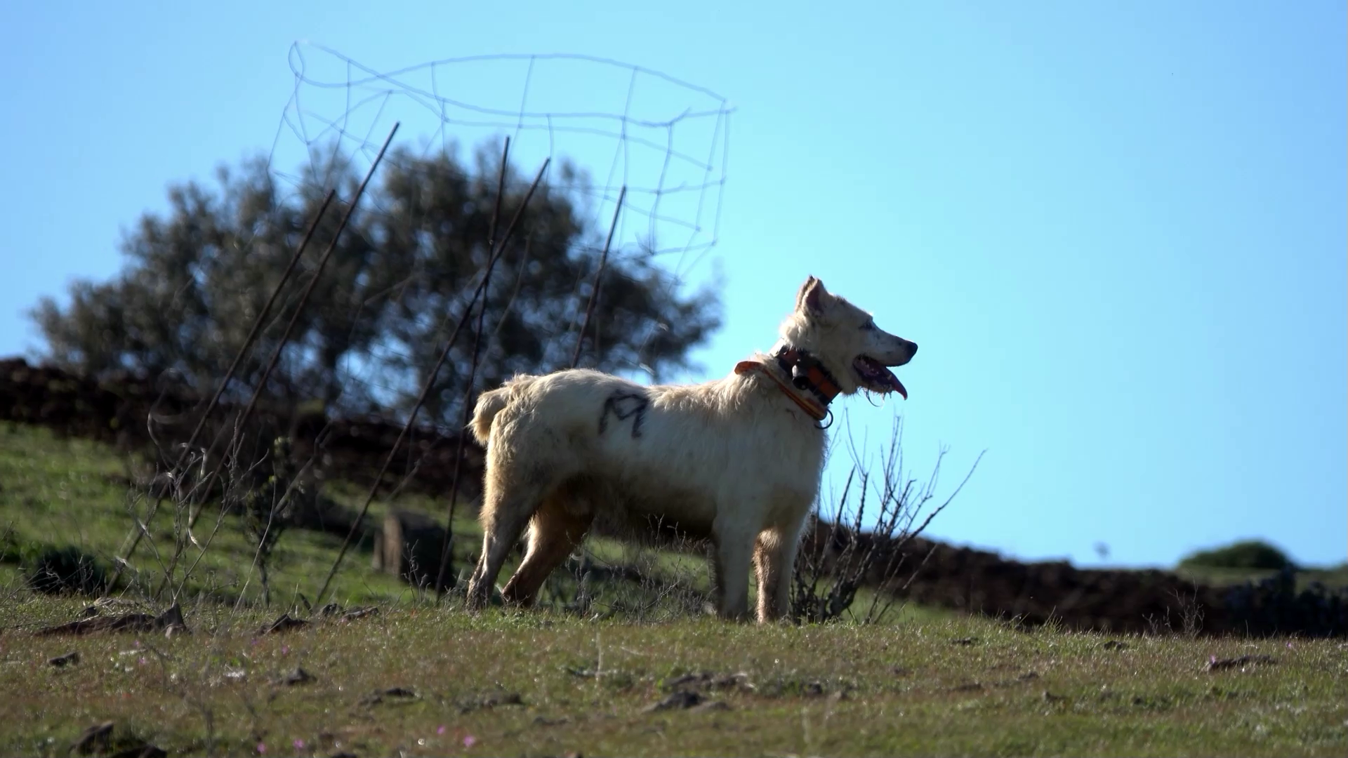 Montería en Jabardillo