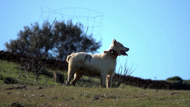 Montería en Jabardillo
