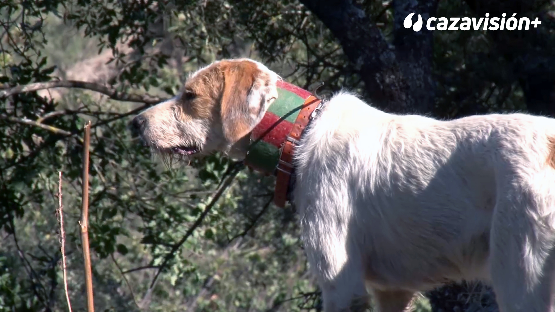 De montería en el Barranco del Poyuelo