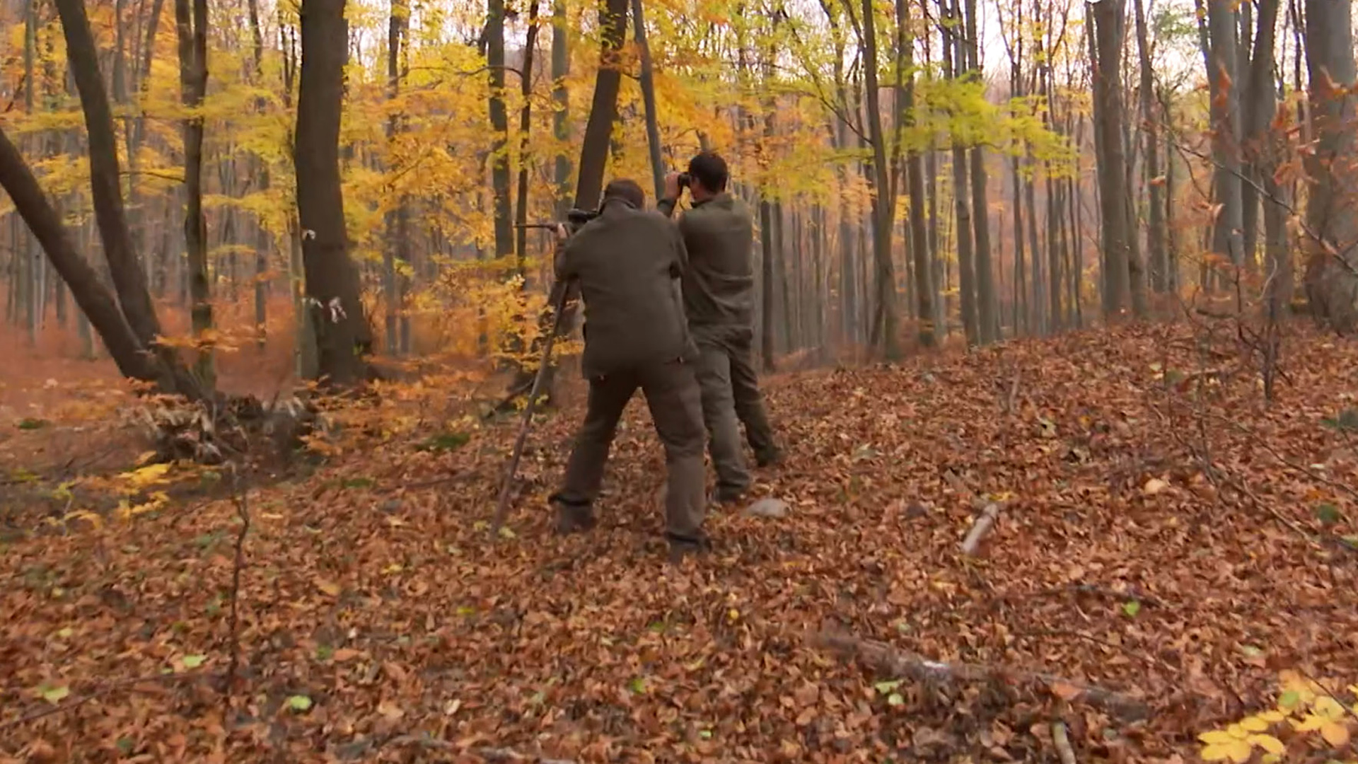 Recechos otoñales en el país de los magiares