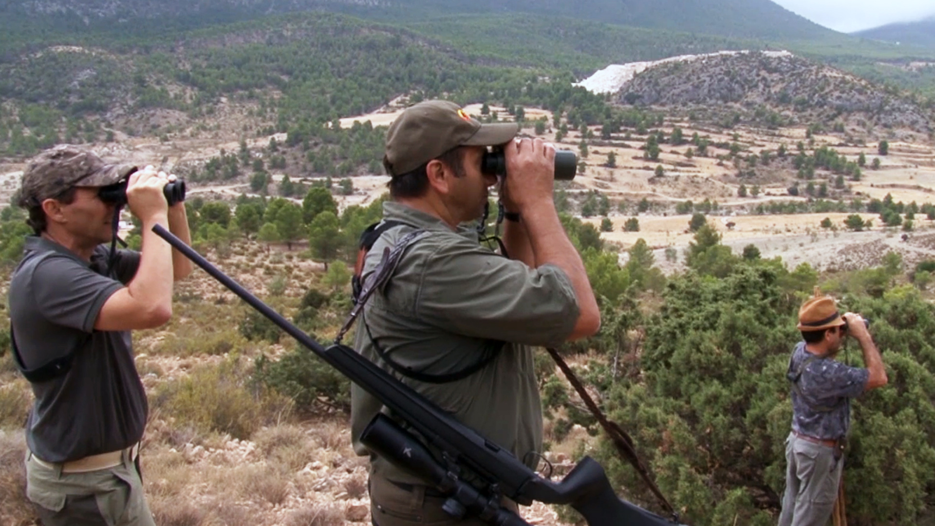 Rececho de arruí y muflón