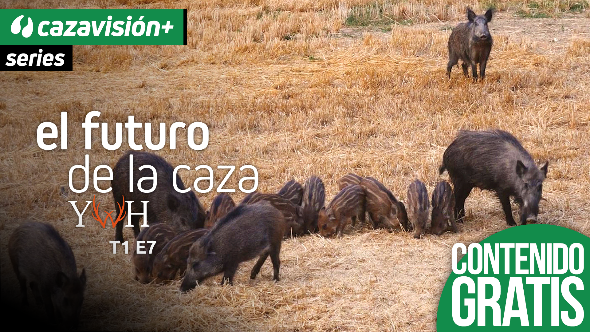 Los secretos de Julio