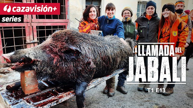La llamada del jabalí 13