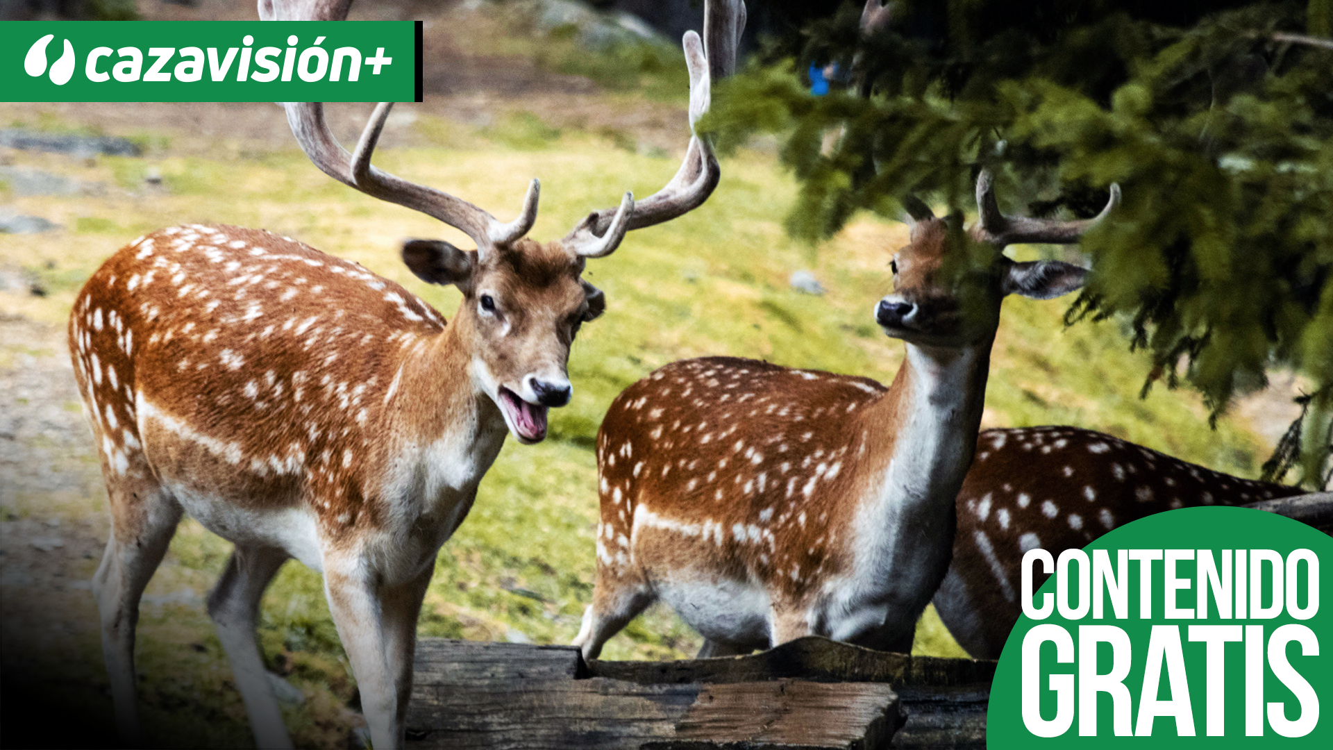 Monteando en Vallejones