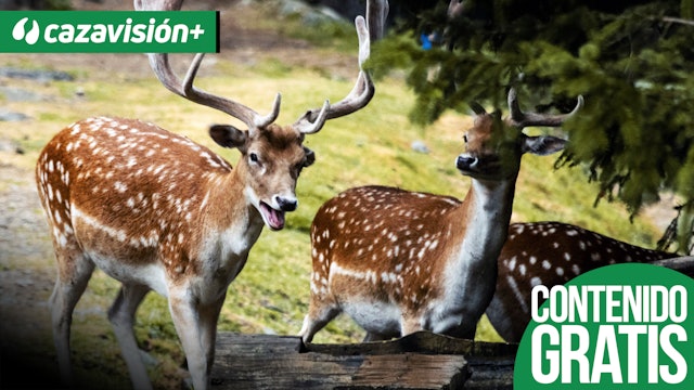 Monteando en Vallejones