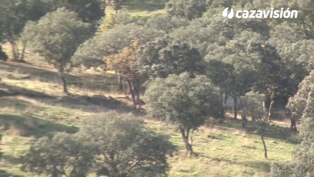 Montería en las Tapias