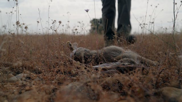 Los problemas de la caza en primavera