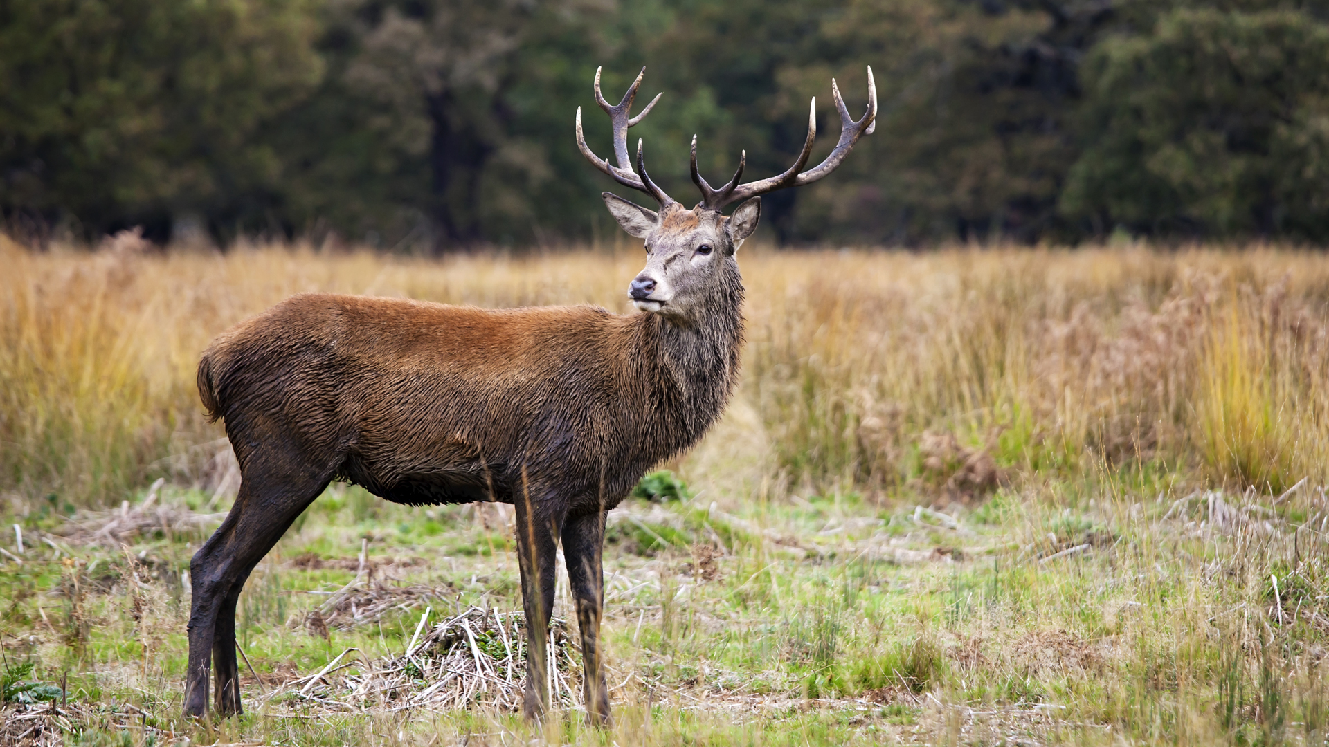 Monteando Las Torrecillas