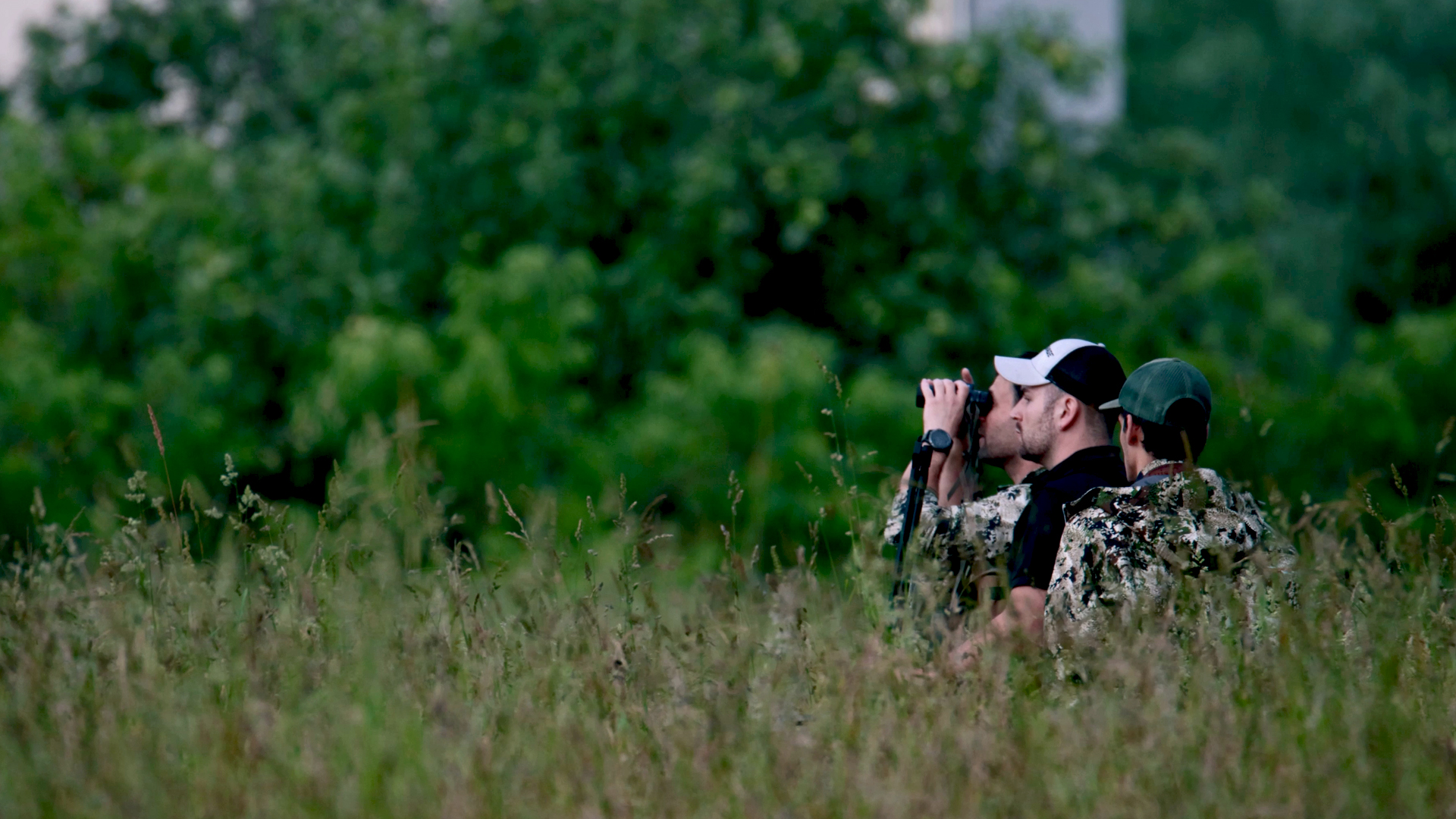 Tras el corzo esquivo