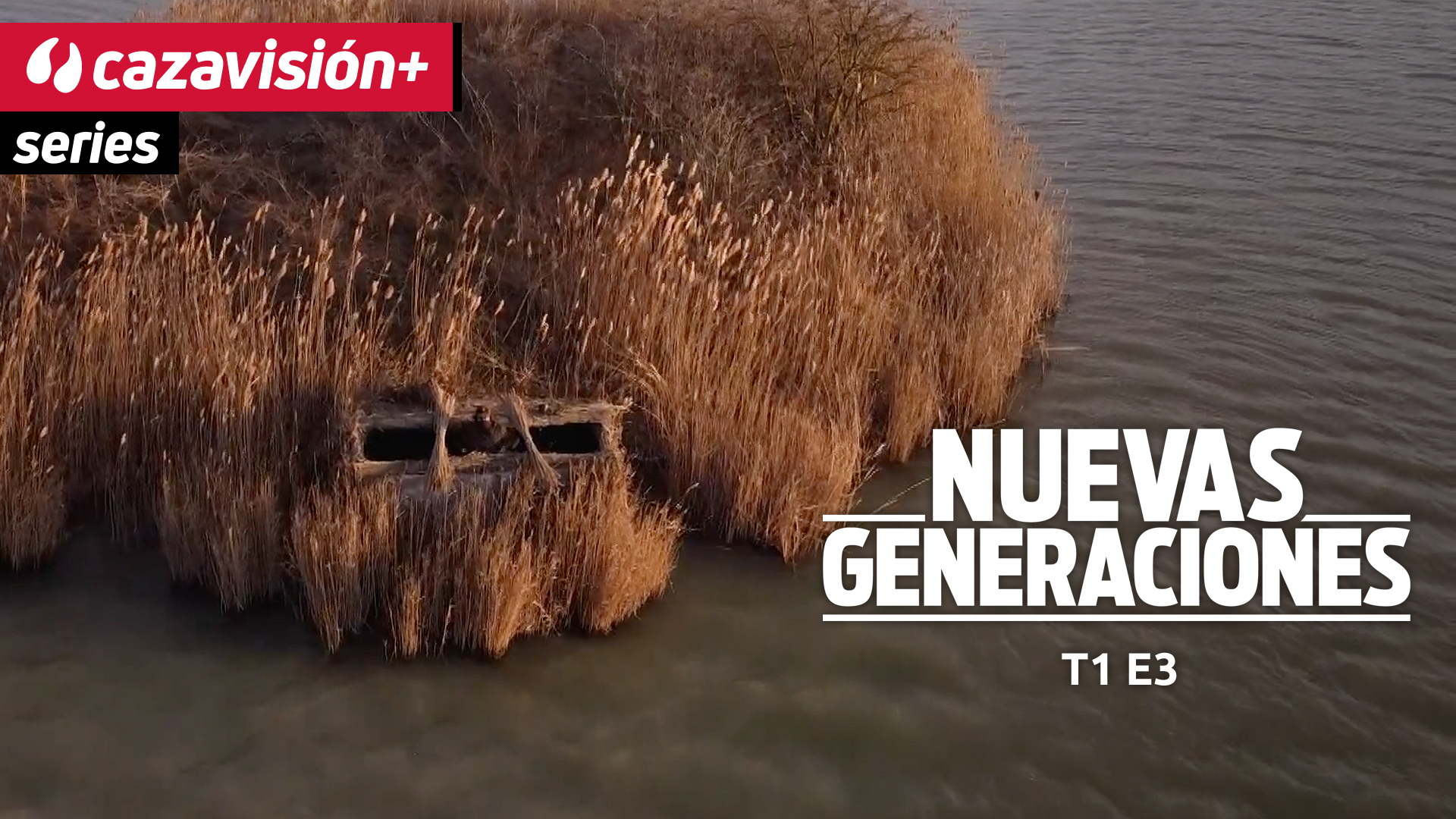 Acuáticas en medio del lago