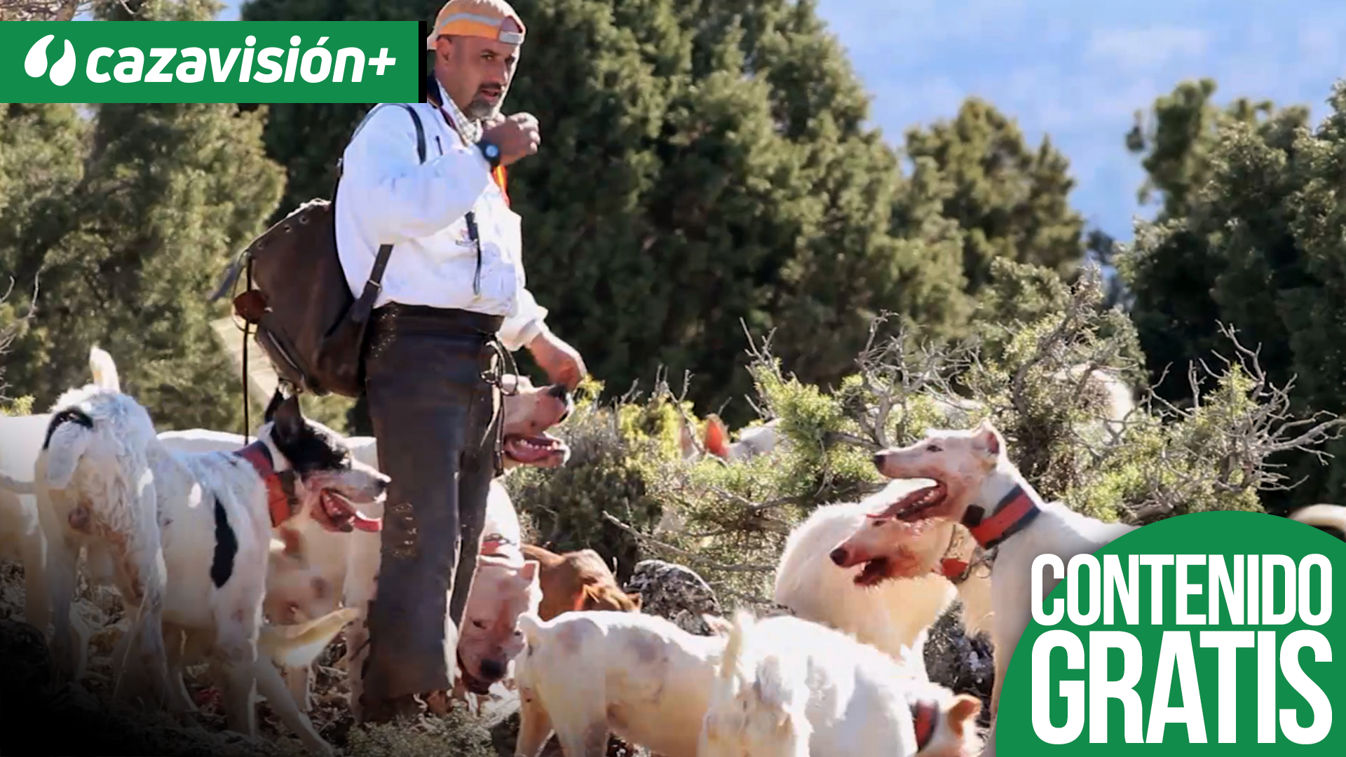 Monteando jabalíes en la Jutia