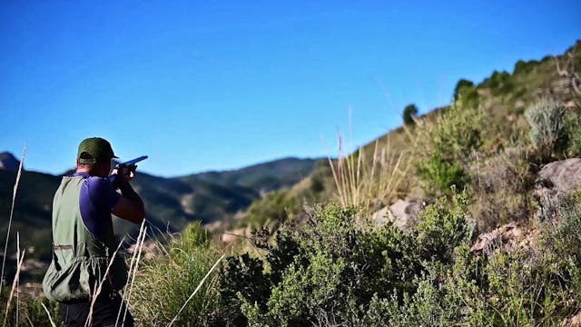 Orcheta, territorio de perdiz de Sierra