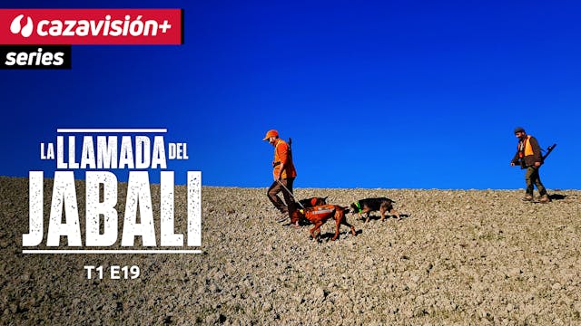 La llamada del jabalí 19