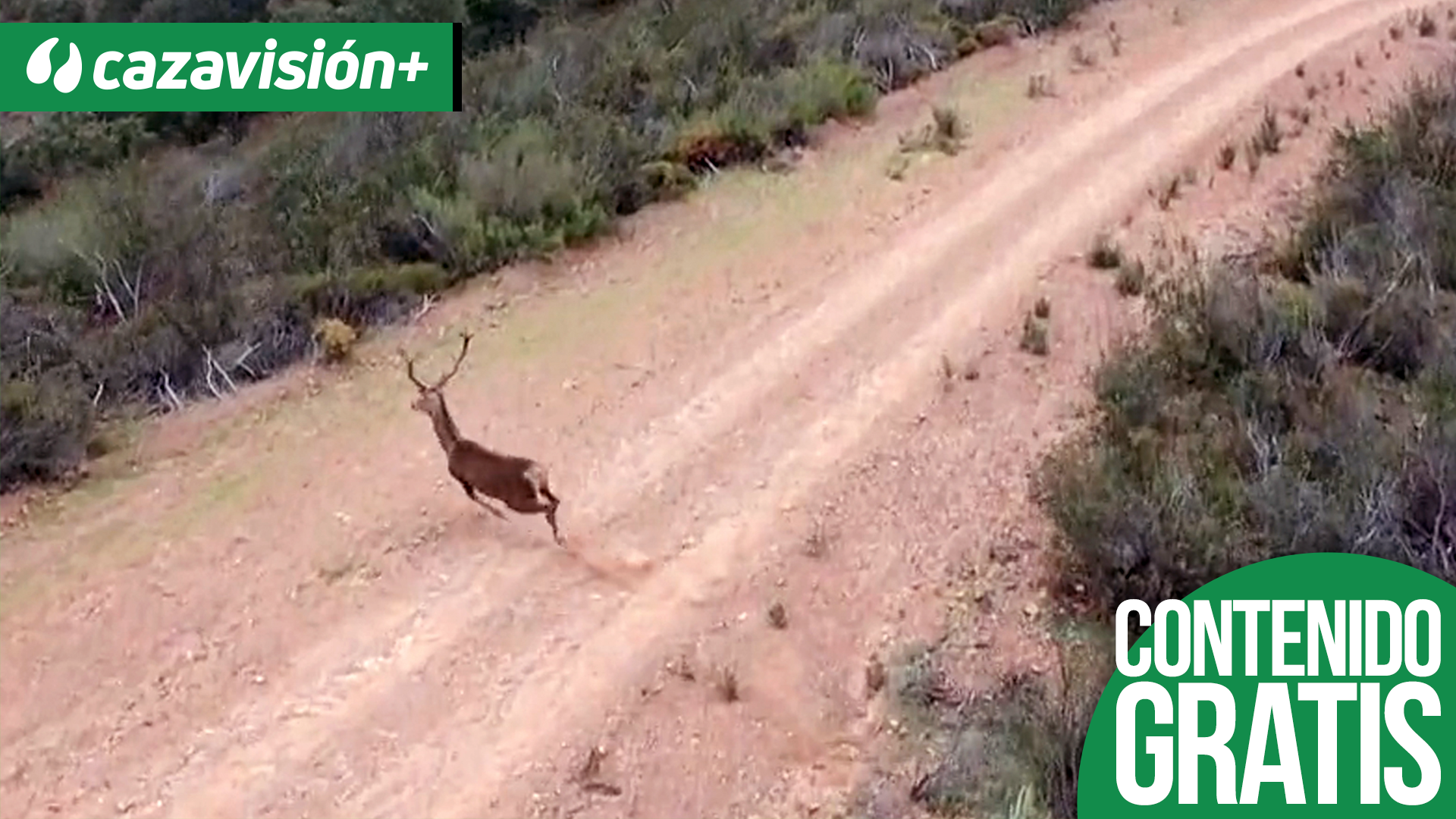 Monteando la Sierra de Aracena