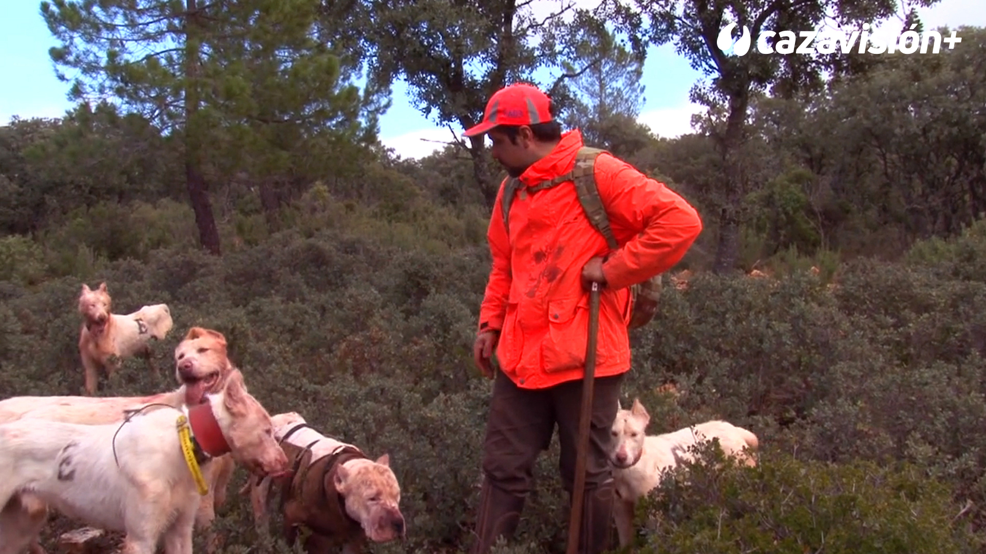 Jabalineros en la manchuela conquense