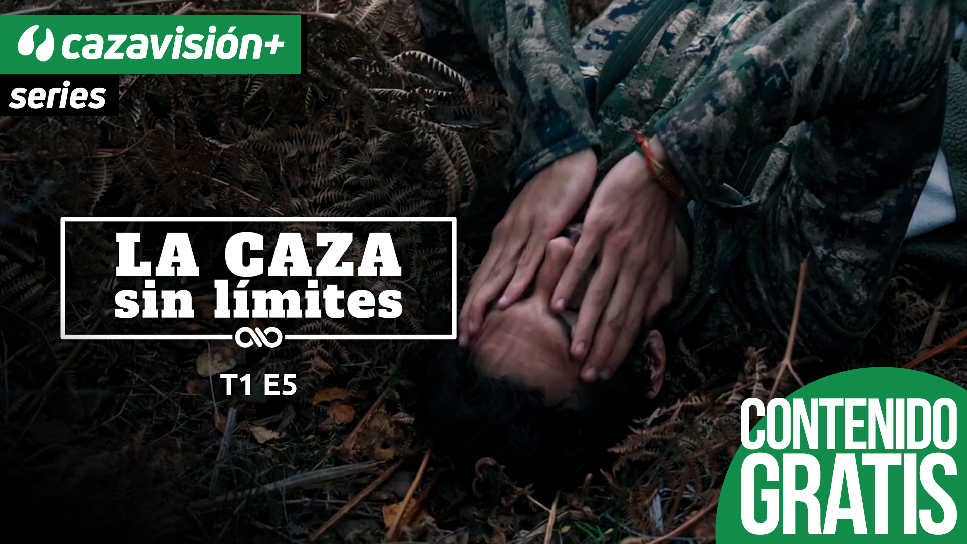 Entre ganchos y cumbres II