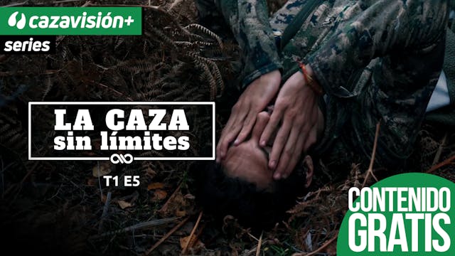 Entre ganchos y cumbres II