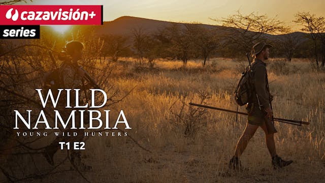 Lo que el bush te da