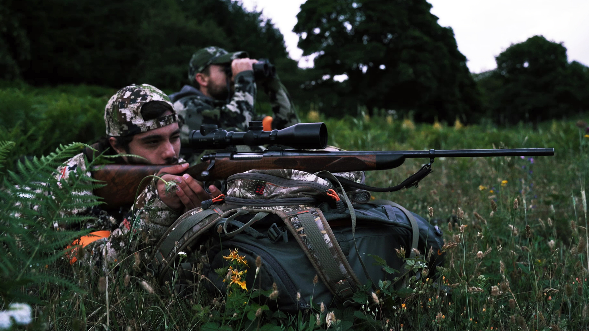 Hasta el último rayo de luz