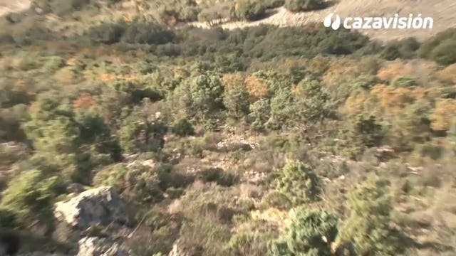 Montería en el Lituero