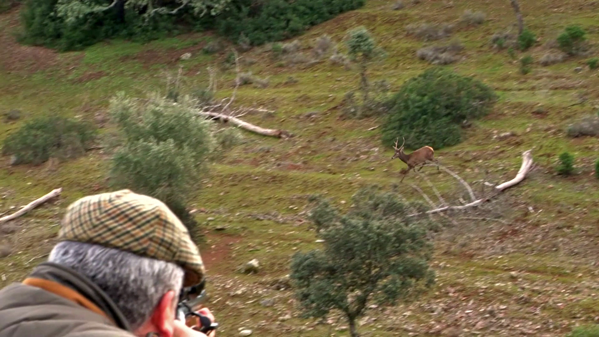 De montería en Los Engarbos