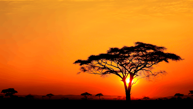 África, el sueño de los cazadores eur...