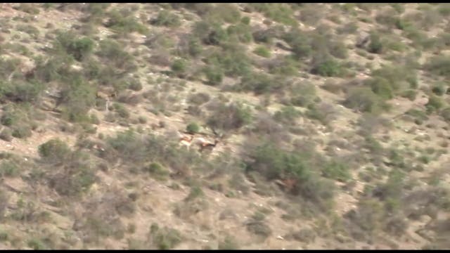 Montería en Puerto Alto. 2015-2016