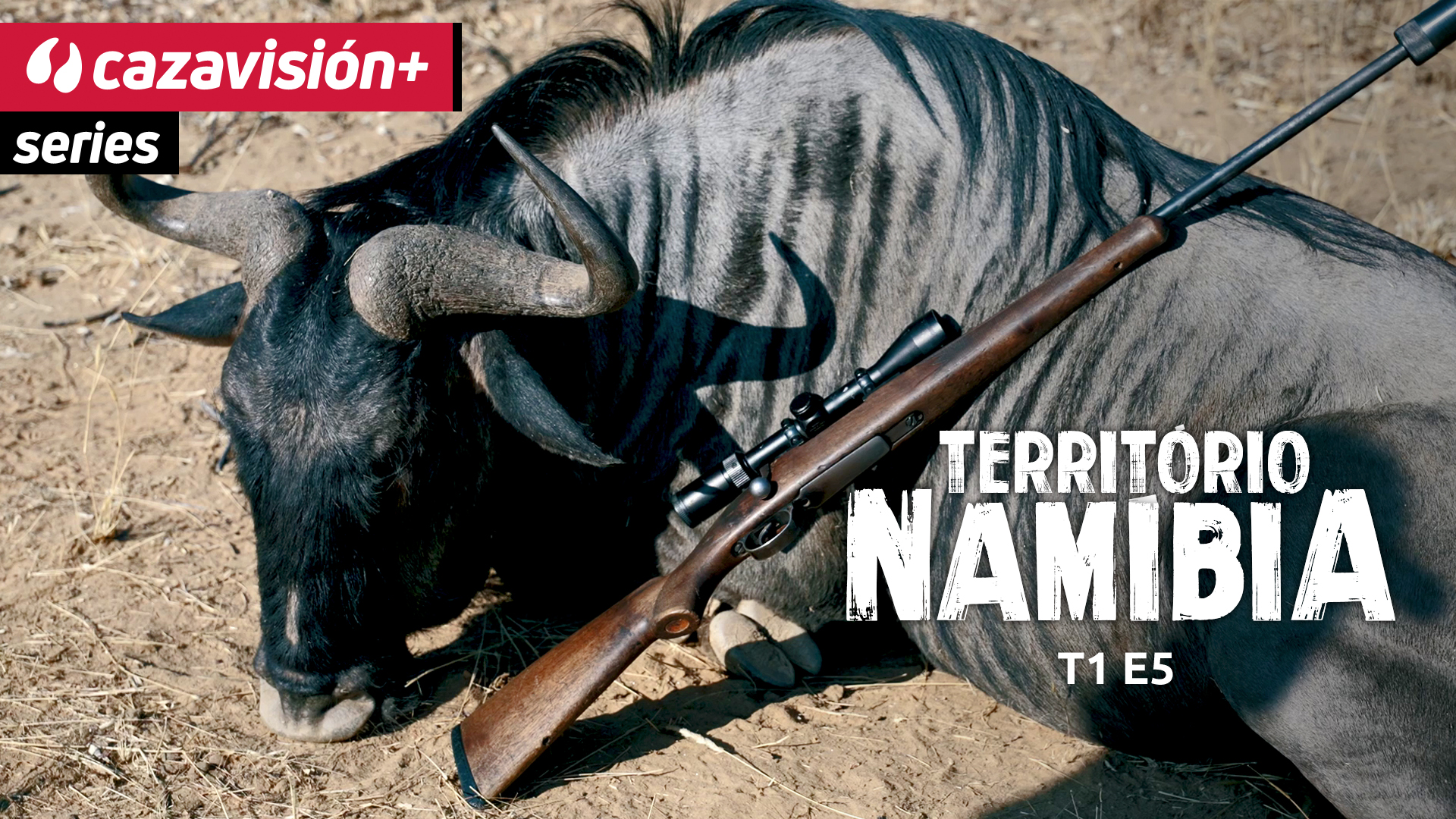 Caza menor y tras los pasos del ñu