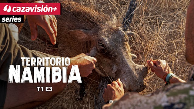 A la caza del temible facochero