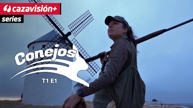 Retorno a Campo de Criptana con Carla...