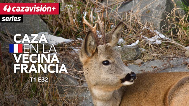 Recechos y batidas con sabor familiar...