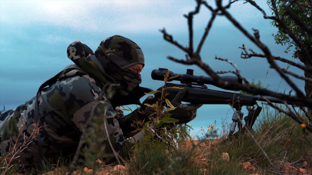 Corzos, rastros y aire