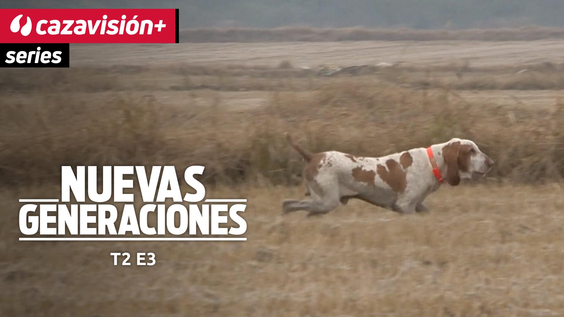 Jornada de agachadizas