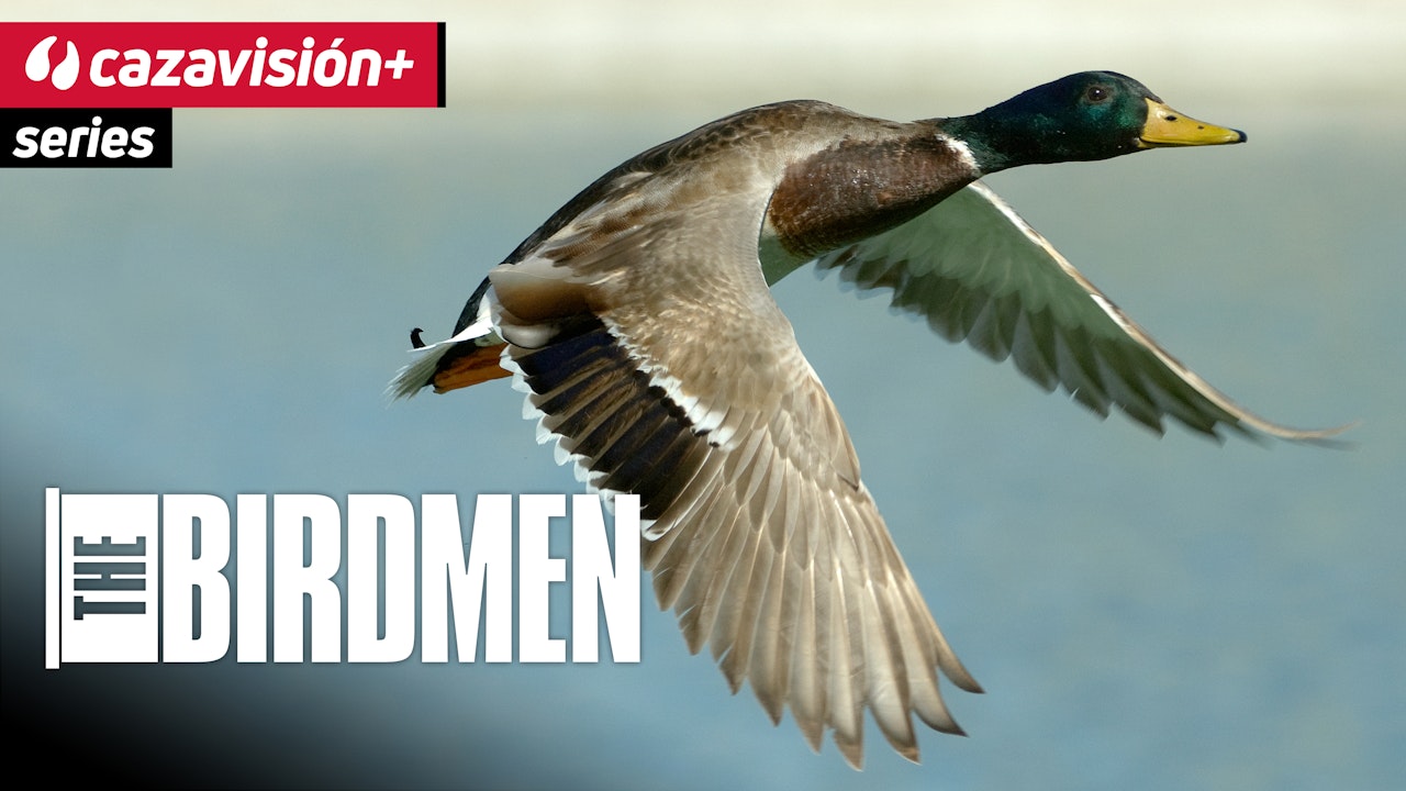 The Birdmen