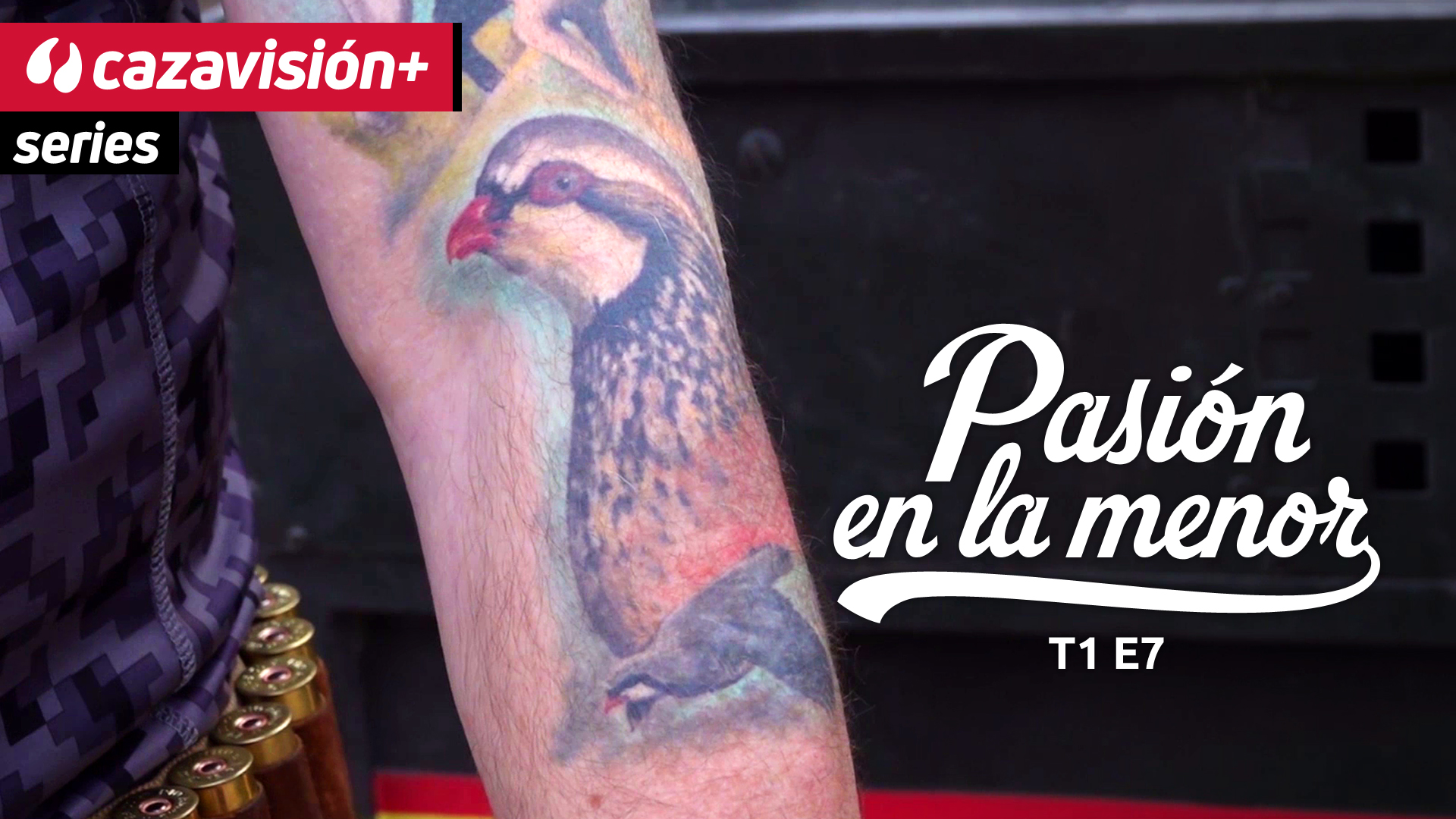 Perdices entre amigos en Alicante