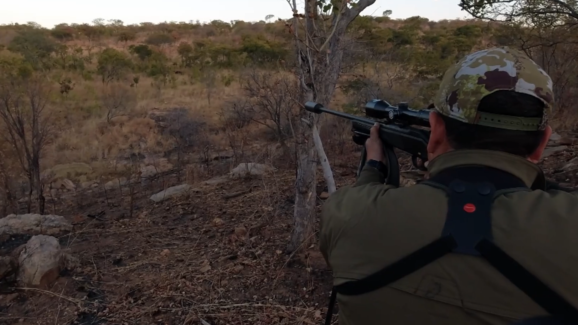 Safari en Makuti III