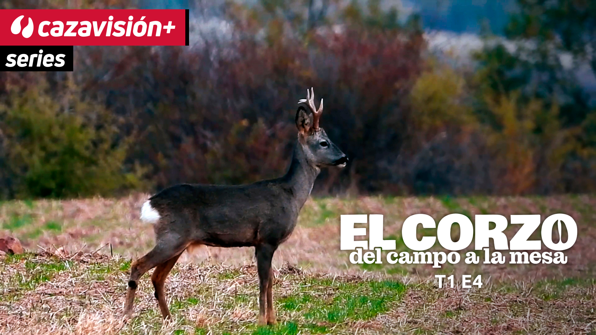 Otoño con Silvia Lodares