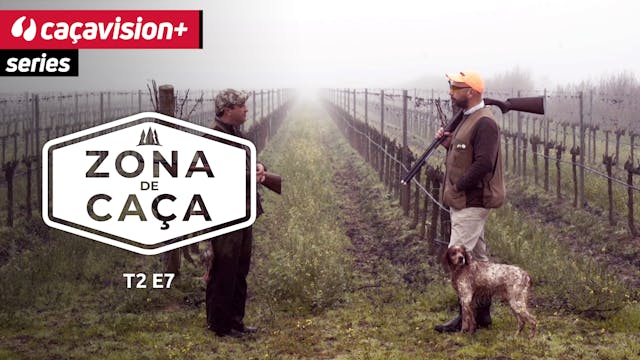 Zona de Caça: de regresso ao Ribatejo
