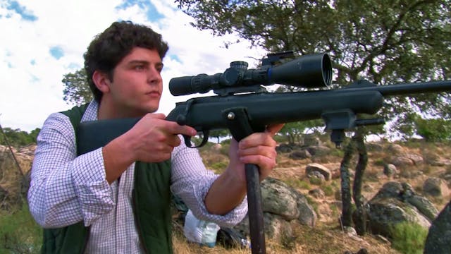 Montería de reses en la sierra de And...