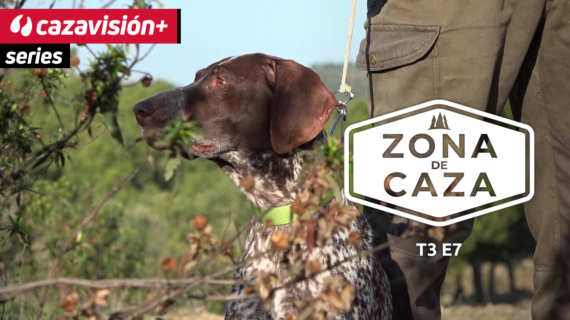 Sostenibilidad y conservación de especies