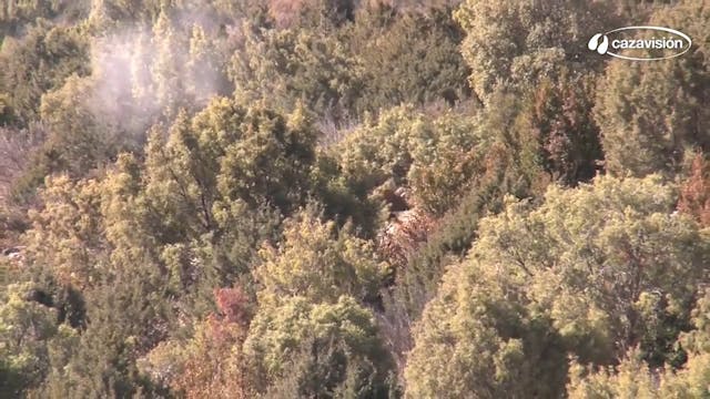 Montería en Sierra Alta 2016-2017