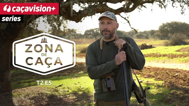 Zona de Caça: um ano atípico