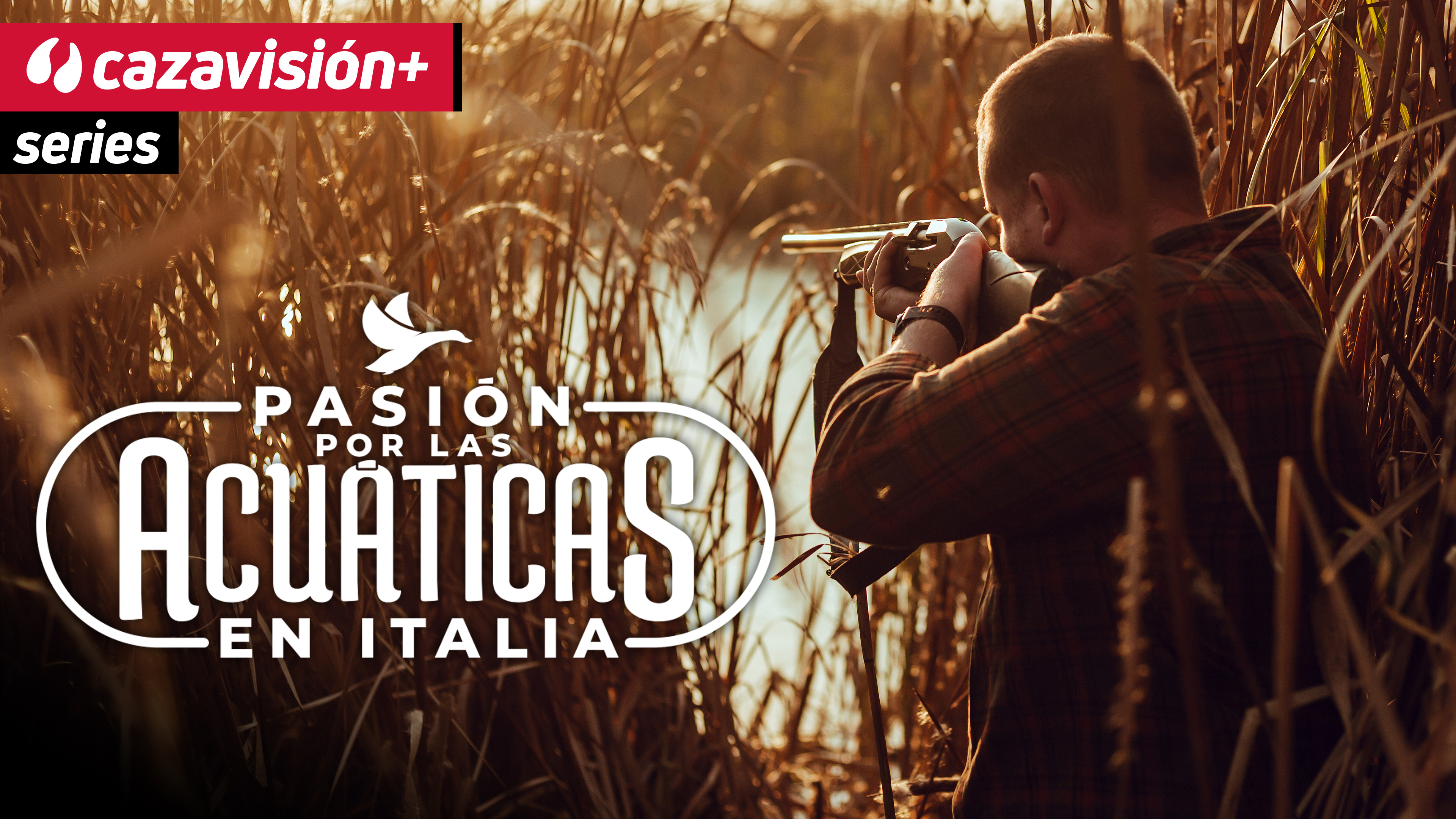 Pasión por las acuáticas en Italia