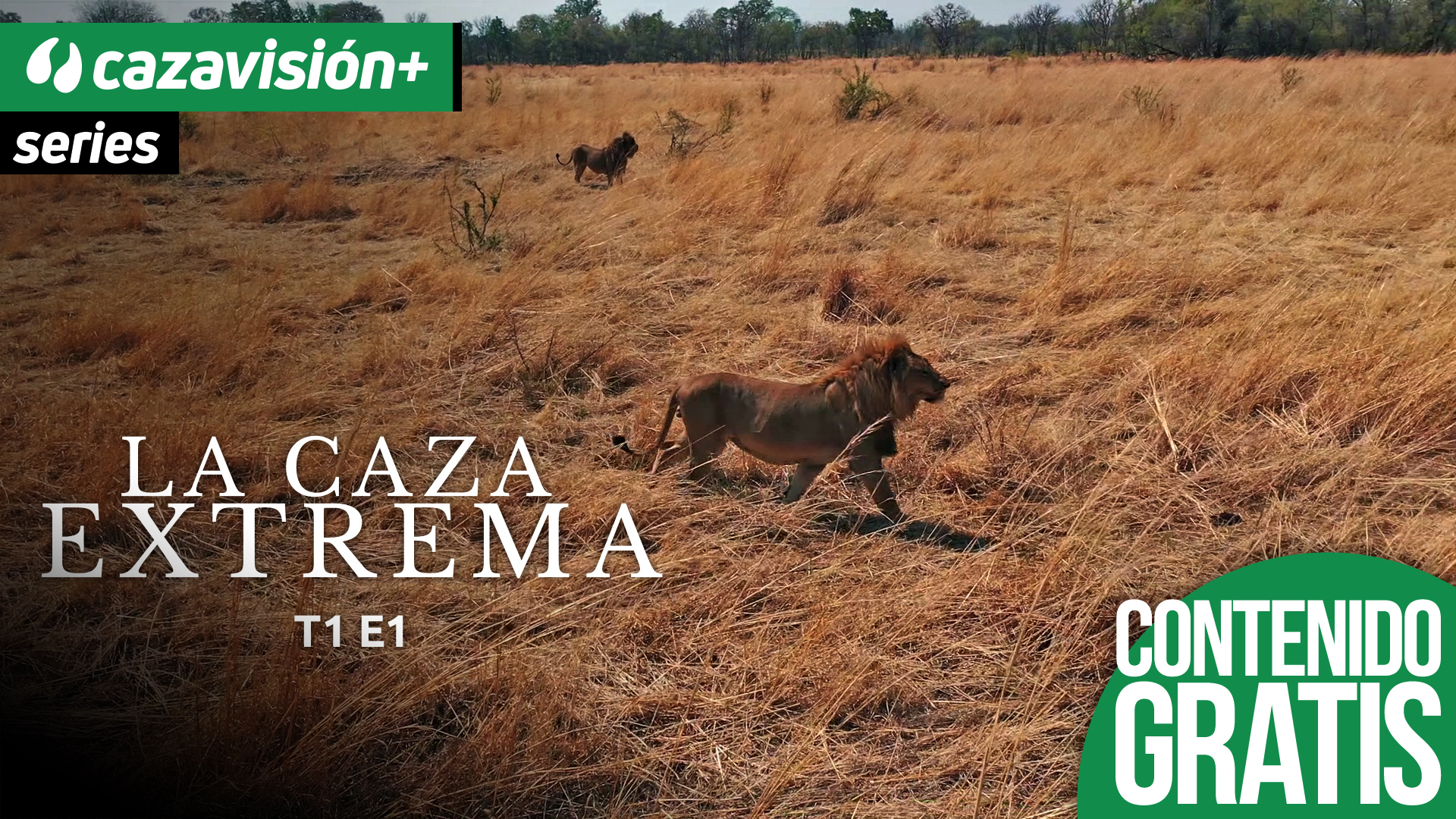 En el corazón de Zimbabue