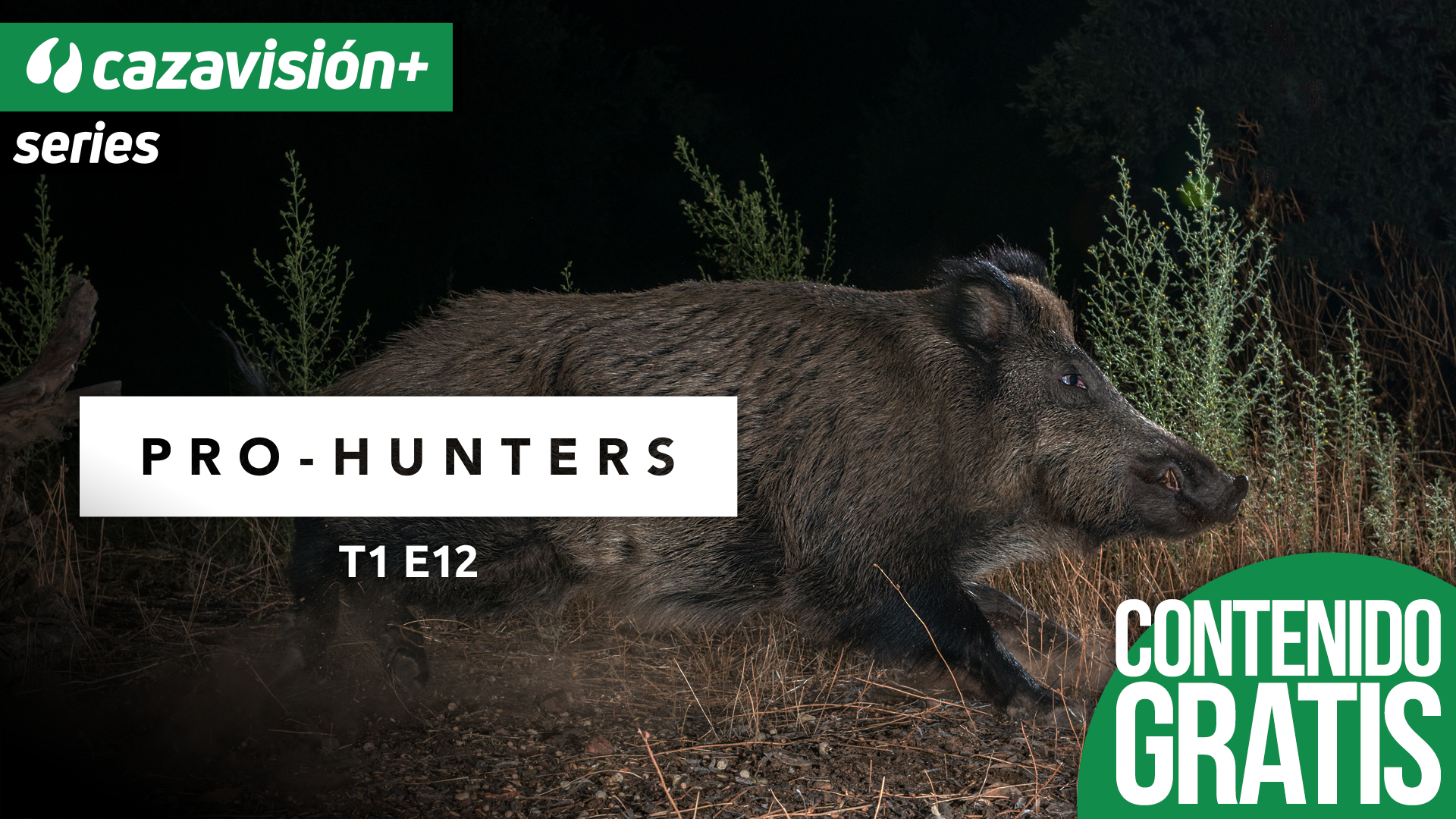 Mis comienzos en la caza mayor