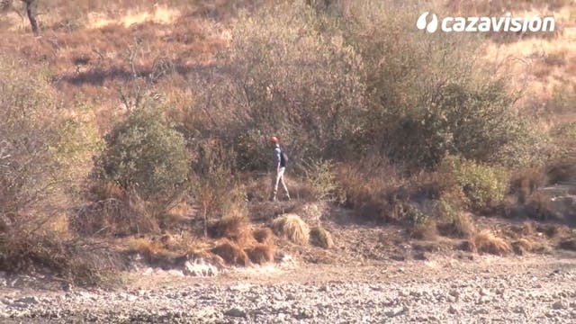 Montería en Las Cañadas