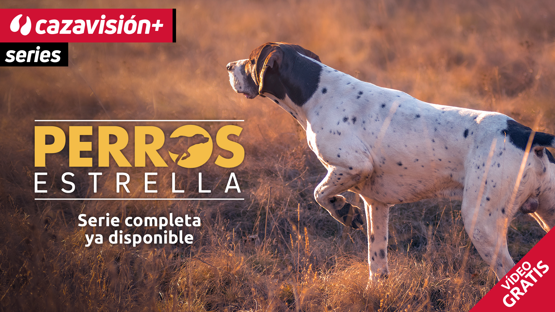 Empieza a ver GRATIS esta serie